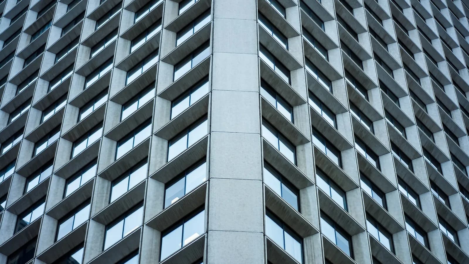 A ledger-style grid of columns with one highlighted row